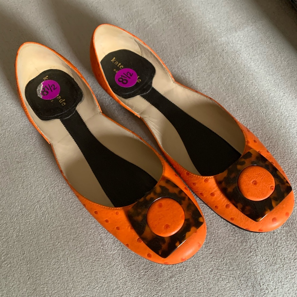 ORANGE AND TORTOISE SHELL